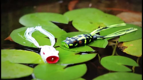KILLER Frog Fishing Action!