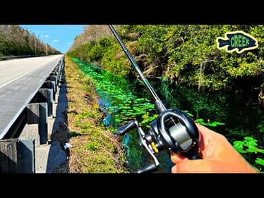 BFS Fishing Florida Roadside