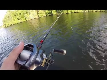 This Bait Never Fails Me...