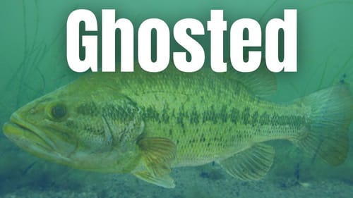 What TO DO When Bass GHOST You (Catch Bass Every Time)