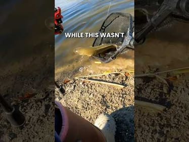 Fishing Redemption at the Abandoned Pond: Battling the Elusive Bowfin #Fishing