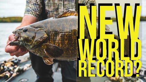 World Record Smallmouth Bass IGFA Pending