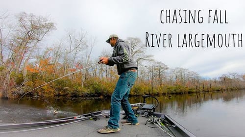 I Spent ALL DAY Searching For THESE Feeding Fish!! || Fall River Bass Fishing
