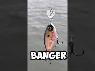 This Lure Is Picking Them Up When No Other Lure Would 🔥
