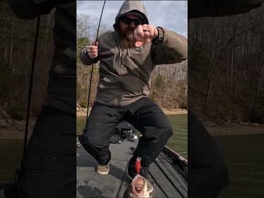 This Crankbait is 🔥 In Spring!