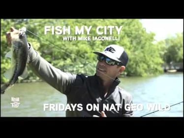 Mike Iaconelli's Fish my City on News with a Twist