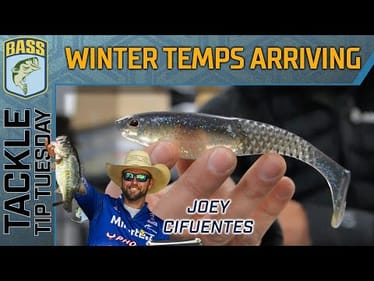 Winter temperatures arrive, shallow fish still catchable