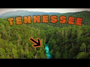 I Went Fishing in a Mountain Creek!