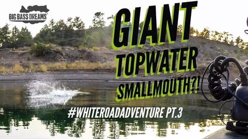 Giant Topwater Blowups from Smallmouth Bass - White Road Adventure Part 3 Montana