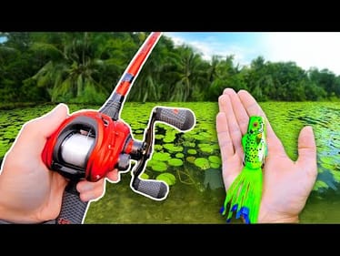 Fishing a Frog for Pond MONSTERS!