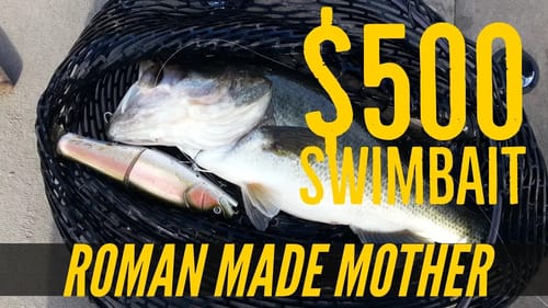 Big Bass Dreams Roman Made Mother Swimbait Cast to Catch Point Of View