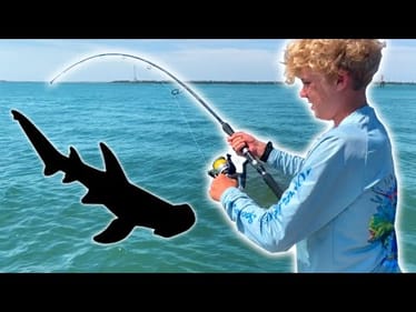 Catching BIG SHARKS in Charleston Harbor (INSANE)