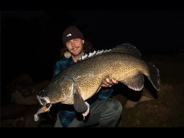 MURRAY COD FISHING w CAST Prodigy