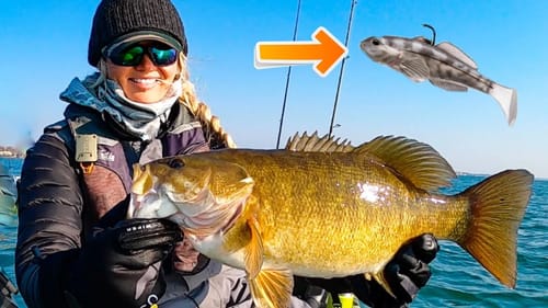 BIG Spring Smallmouth BASS (Effective baits)