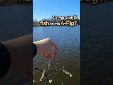 Can I catch a fish on this A Rig? #fishing