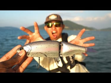 I Showed Him The True Power Of Big Glide Baits On Japan's Largest Lake! Ft. @hibikisami