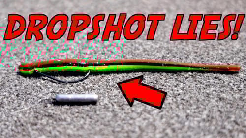 This WILL CHANGE Everything You Believe About The Dropshot Rig!