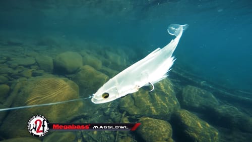 Megabass Magslowl Swimbait Underwater Video