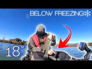 Is this the Most Productive Lure for WINTER BASS FISHING??