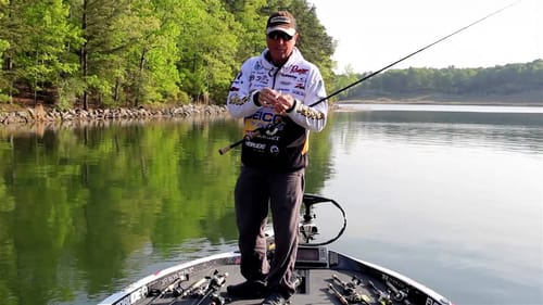 Reading Guarding Bass Behavior