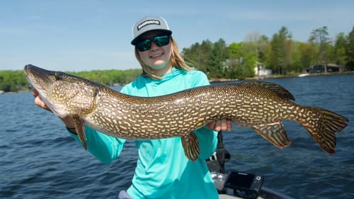 Glide Bait Fishing for AGGRESSIVE Spring Pike!