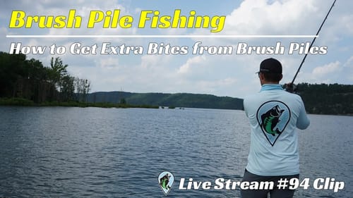 How To Get More Bites From Brush Piles | FTM Livestream #94