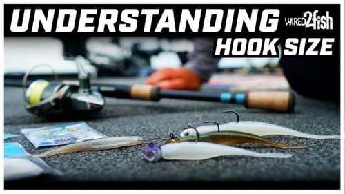 Why Hook Size Matters when Rigging Soft Plastics