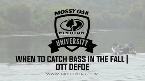 When to Catch Bass in the Fall   Ott DeFoe Fishing Tips