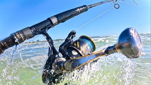 Opening Reels After 3 Years Abuse, No Service! Penn Authority + Penn Slammer 4