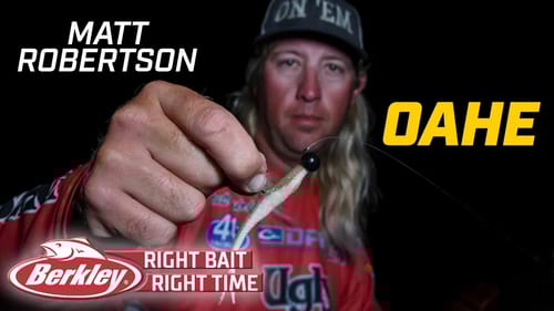 Berkley Right Bait at the Right Time for Matt Robertson at Lake Oahe