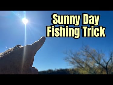 90% Of Anglers Don’t Know THIS About Fishing On Sunny Days…