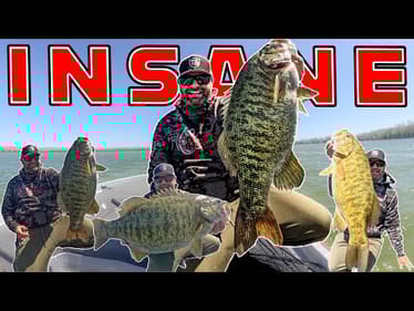 30 LB SMALLMOUTH LIMIT!! 4 BAITS CATCH THESE GIANT BASS!