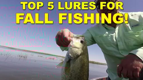 5 Best Lures For Fall Bass Fishing | How To | Bass Fishing