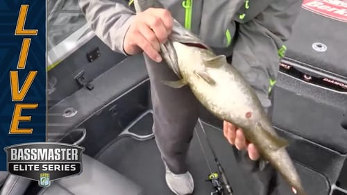 CHAMPLAIN: Redwine catches a balloon of a smallmouth