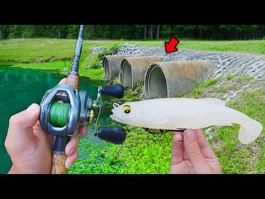 Fishing For Urban POND MONSTERS!