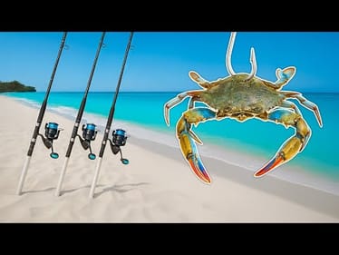 Big Baits vs Beach Monsters Fishing Challenge