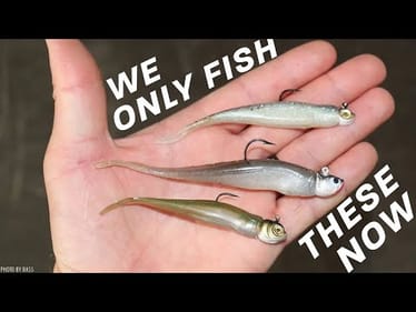 Hover Strolling for Bass - Forget Everything You THOUGHT You Knew About Jighead Minnow Fishing