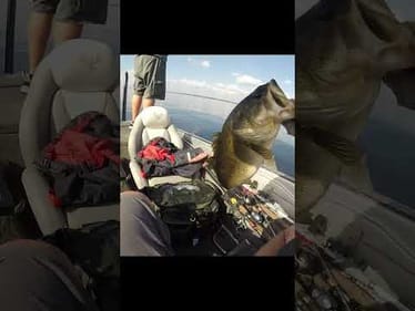 NEVER Leave Fish To Find FISH