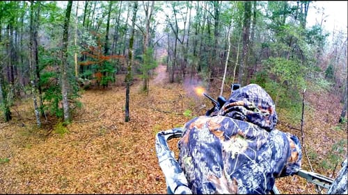 Bama Deer Hunt During the Rut