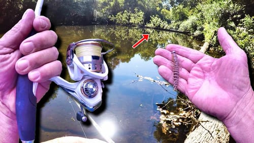 THESE Fish Go ABSOLUTELY CRAZY Over THIS Lure!!! (MASSIVE Creek Fish)