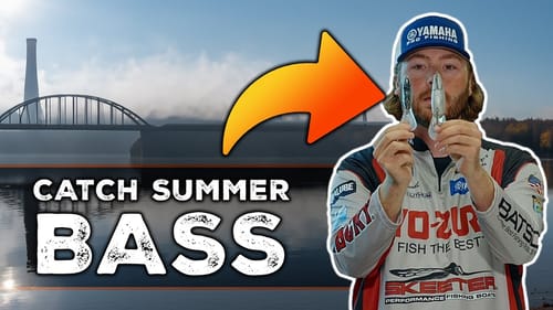 Biggest Crankbait Ever? Deep Cranking Lures (Fishing For Big Summer Bass)