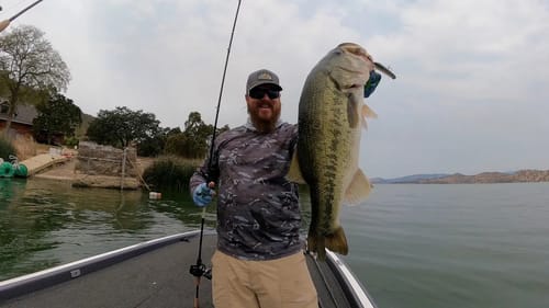 Monster Bass Eats Topwater! #shorts