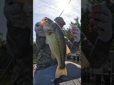 My FAVORITE Way To Catch A Bass! 😎 #shorts