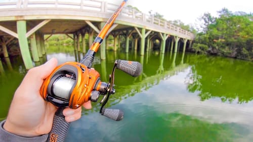 Catching GIANT Bass in HIDDEN Creeks (Jon Boat Fishing)