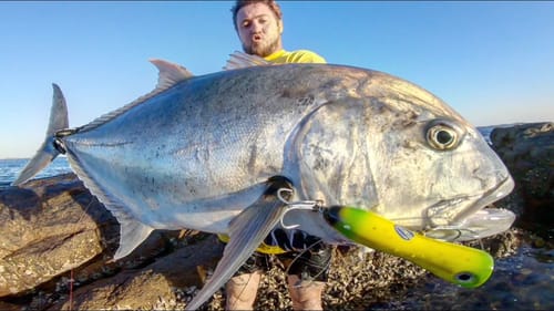 BANANA 🍌 LURE CATCHES GIANT FISH