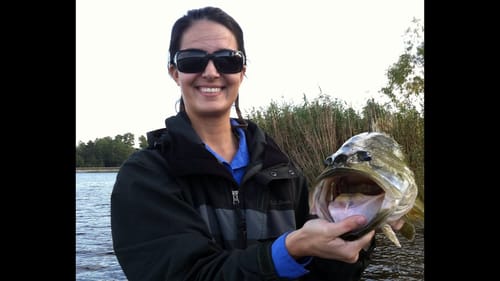 Swimbait Bass Fishing.