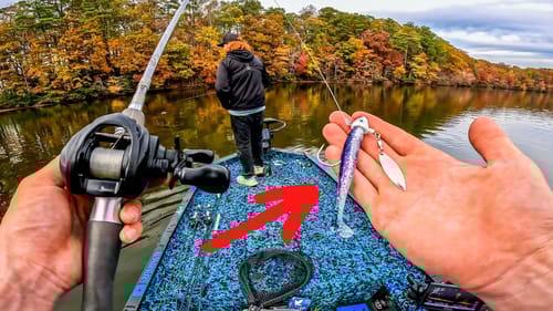 You should do this RIGHT NOW!! Fall Bass Fishing