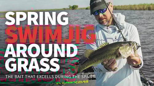 SWIMMING A JIG around GRASS during the SPAWN! (MY Go-to BAIT!)