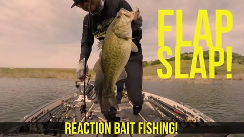 Reaction Bait Fishing for Bass and Crappie Northern California