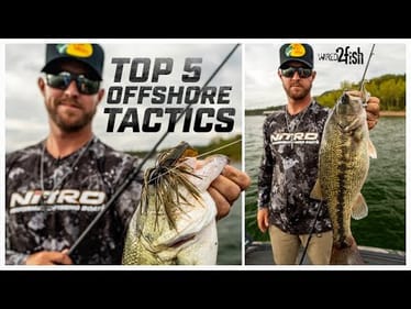 Offshore Bass Fishing Baits | Dakota Ebare's Top Picks